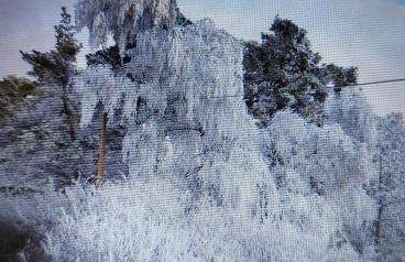 Landmanns Home - Foto 17