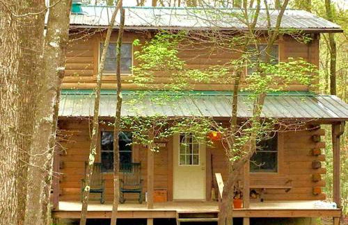 Pet-Friendly Cabin Rental in the Mountains near Beckley, West Virginia - Foto 6