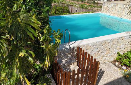 Casa Verdelho - Photo 21