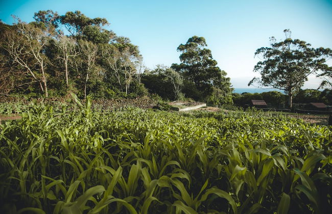 Make It Happen Farm - Foto 38