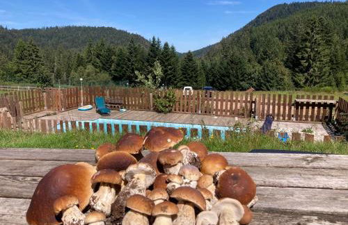 Le Perchoir, Gîte 7 personnes, Le Grand Valtin - Foto 33