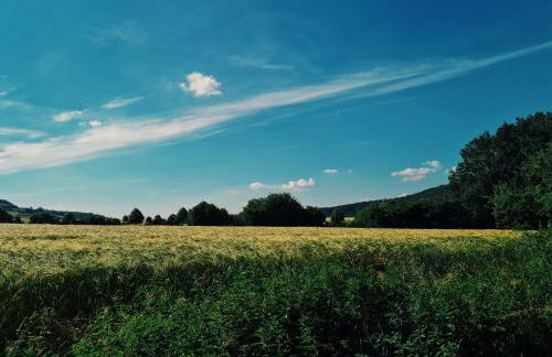 Ferienwohnung am Waldrand - Photo 35