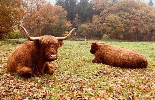 Ferienhof Ekenhoff - Photo 71