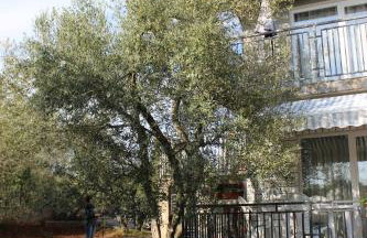 Turković Apartments - Foto 18