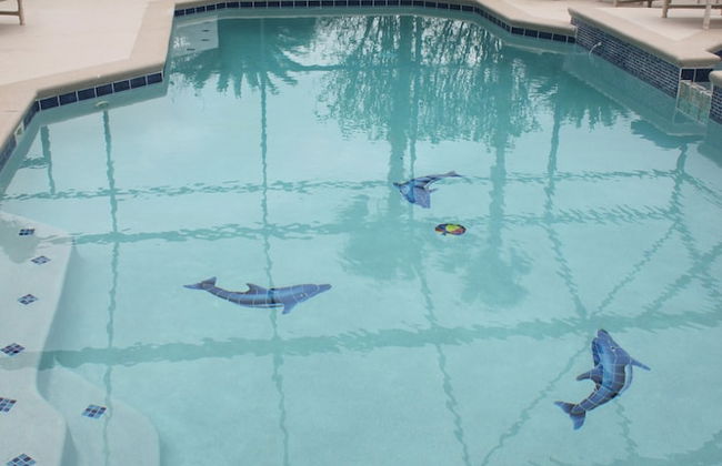 Dolphin's Retreat Near Disney - Foto 38