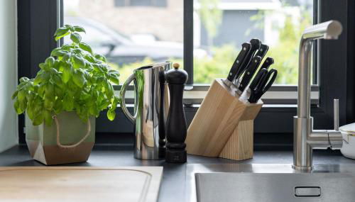 Reetdachhaus Nautilus - Foto 5