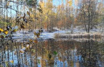 Gästehaus zum Rosengarten - Photo 64
