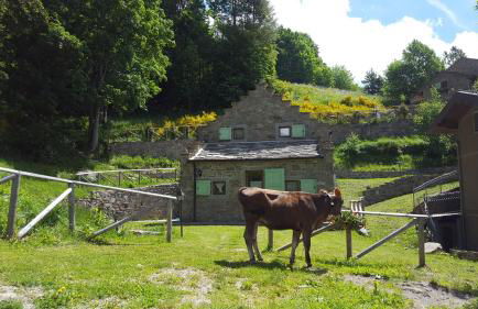 Il Borgo Dei Celti - Photo 38