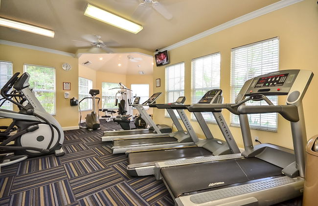 8213 Fan Palm Way - Foto 12