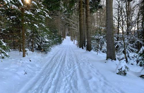 Haus Donnerberg Rehefeld - Foto 54