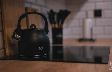 Leśne Zacisze - dom na wsi z grotą solną, sauną oraz balią ogrodową - Foto 18