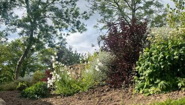 Woodside Shepherd Hut with free parking - Hawsker near whitby - Foto 4