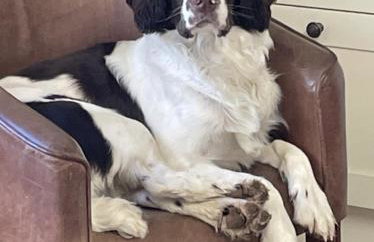 Gilberts End Farm - Foto 43