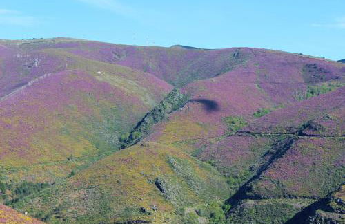 Vila Real Loft 360º - Photo 33