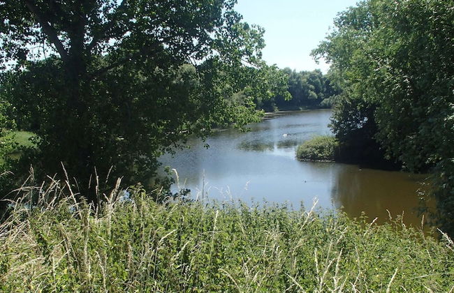 Boutique Apartment in Ritthem With Terrace - Photo 24