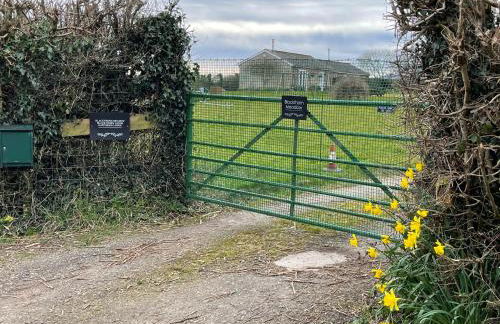 Blackthorn Meadow - Photo 13