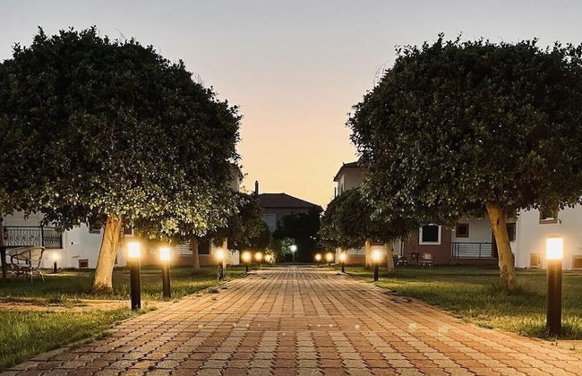 Stomio Villague - Foto 35