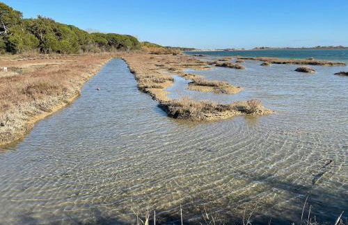 Terrace home by the pinewood - Foto 22