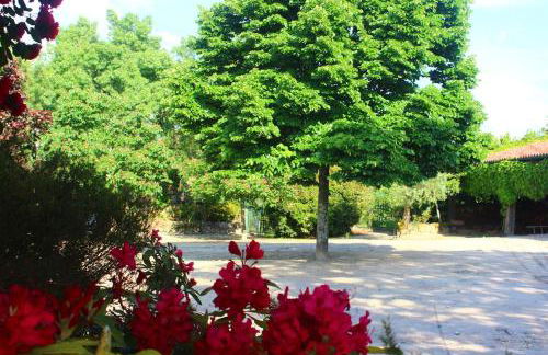 Quinta da Lapa do Gato - Foto 35