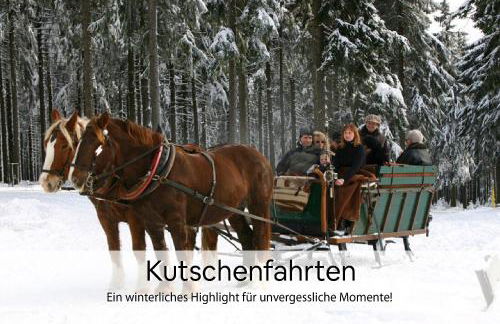 Haus Repin, Oberhof, historische Villa am Rennsteig, Thüringer Wald - Foto 38