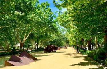 Verde Oliva Albero Limon - Photo 51