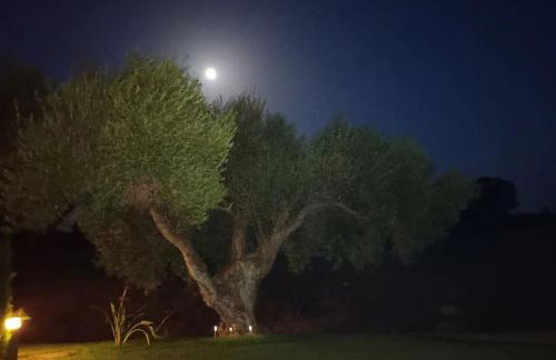 Casa Los Olivos - Foto 7