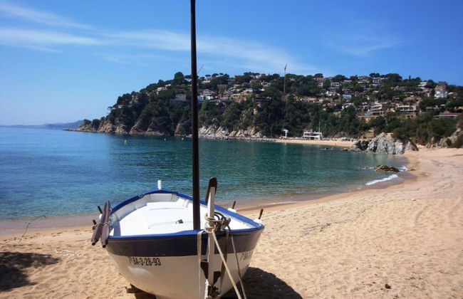 107523 - House in Cala Canyelles - Foto 21