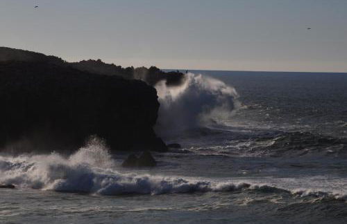 Carrapateiramar Guest House - Foto 50