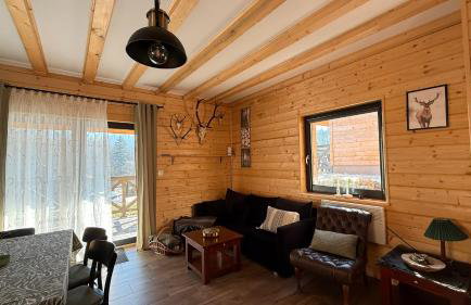 Domki Wilcza B - Foto 4