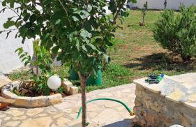 Vila Zagora - Foto 16