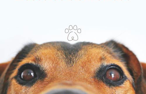 Dùplex Argollas Grand Suite Centro Parking gratis - Foto 30