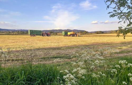 Relaxing Retreat on the edge of the Cotswolds - Foto 27