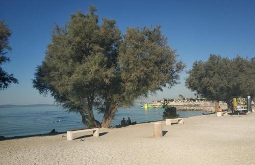 Izzy&Simple - Foto 23