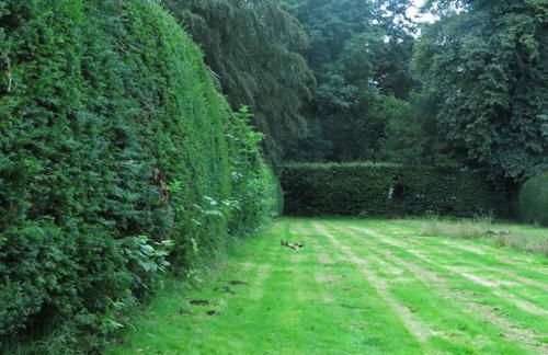 River Cottage - Photo 15