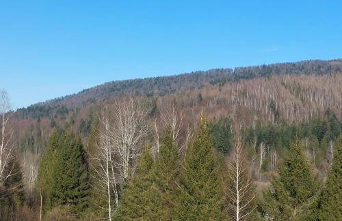 Chata pod Jelenim Skokiem - Foto 8