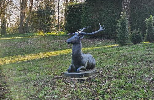 Maisons du Cerf et du Tilleul - Foto 21