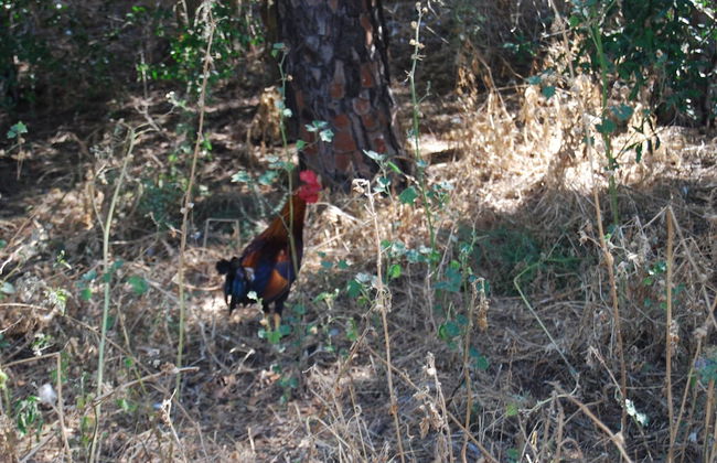 Vivienda Rural el Retorno - Foto 41