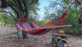 Mike's Place - Foto 3