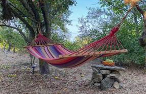 Mike's Place - Foto 3