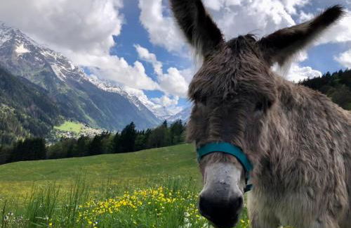 Chalet Rivière du Bon Nant Location de 6 à 14 personnes en Haute Savoie - Foto 48