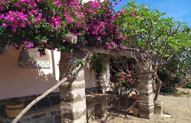 Agriturismo Hibiscus - Photo 34