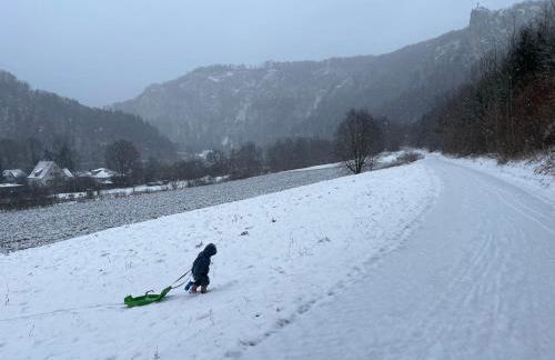 ZwergDackelAdlerHirsch - Foto 35