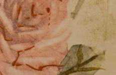 Almyra seaside - Foto 22