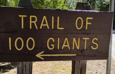 Peaceful Pines Place, a cozy mountain hideaway wAC - Foto 37