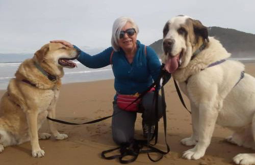 El Pedrueco Turismo Rural - Foto 35