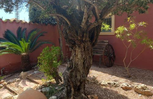 Villa Anna-Altea - Photo 39