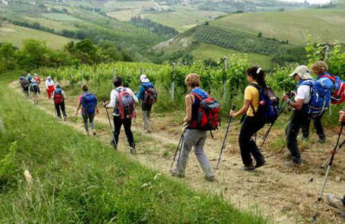 Residence Borgo Offida - Foto 43