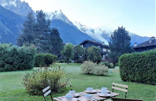 Chamonix Appartement Vue Mont Blanc avec jardin - Foto 19