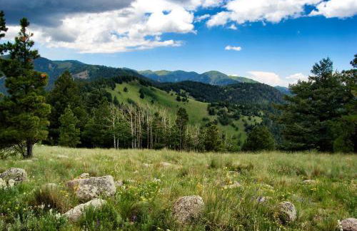 My Happy Place by Ruidoso Vacation Rentals - Foto 76