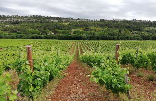 Chez Mi, centre ville, parking gratuit - Foto 22